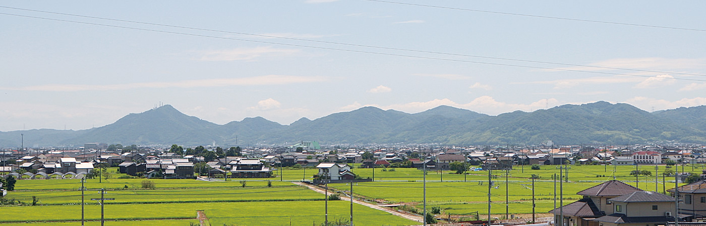 写真：田園と町の風景