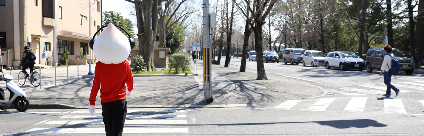 写真：町中を歩くはくとん