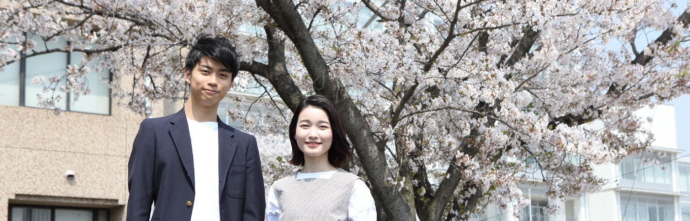 写真：桜の下に男女二人